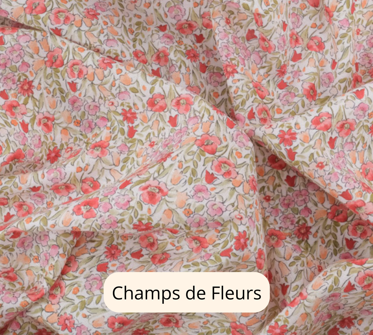LES MOTIFS