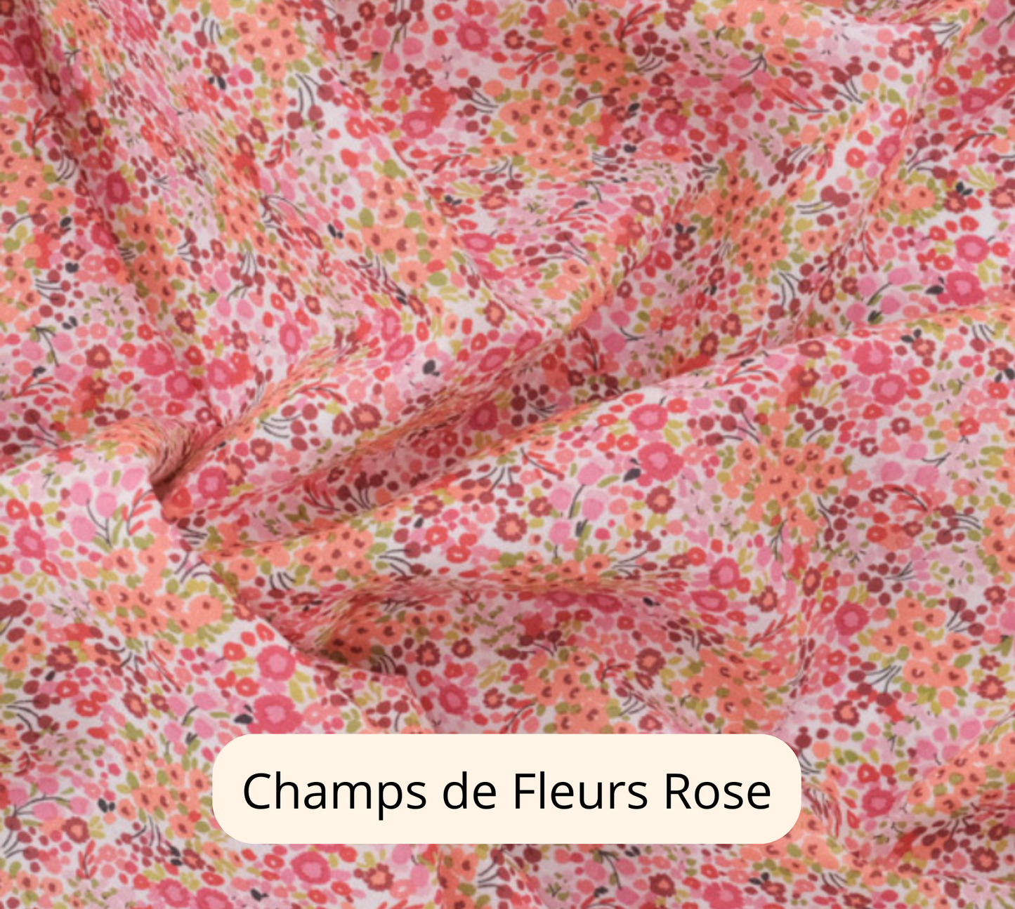 LES MOTIFS