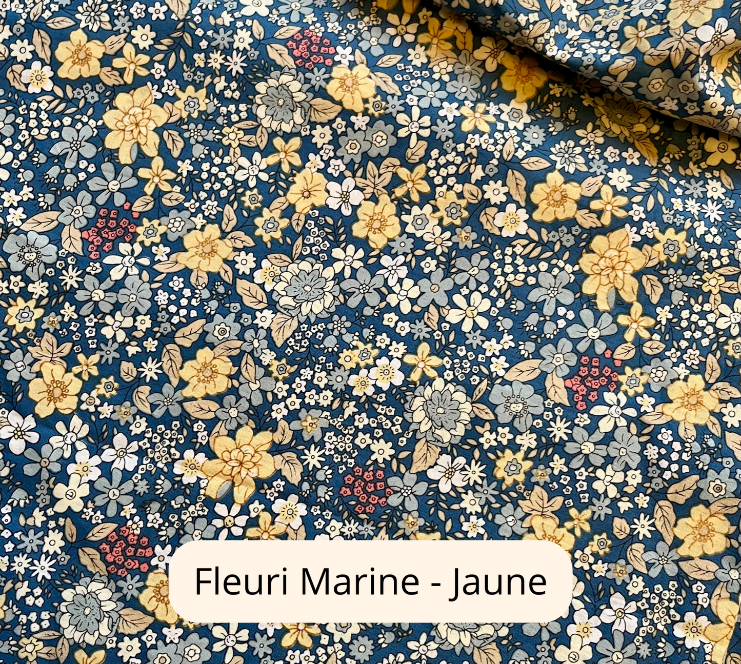 LES MOTIFS