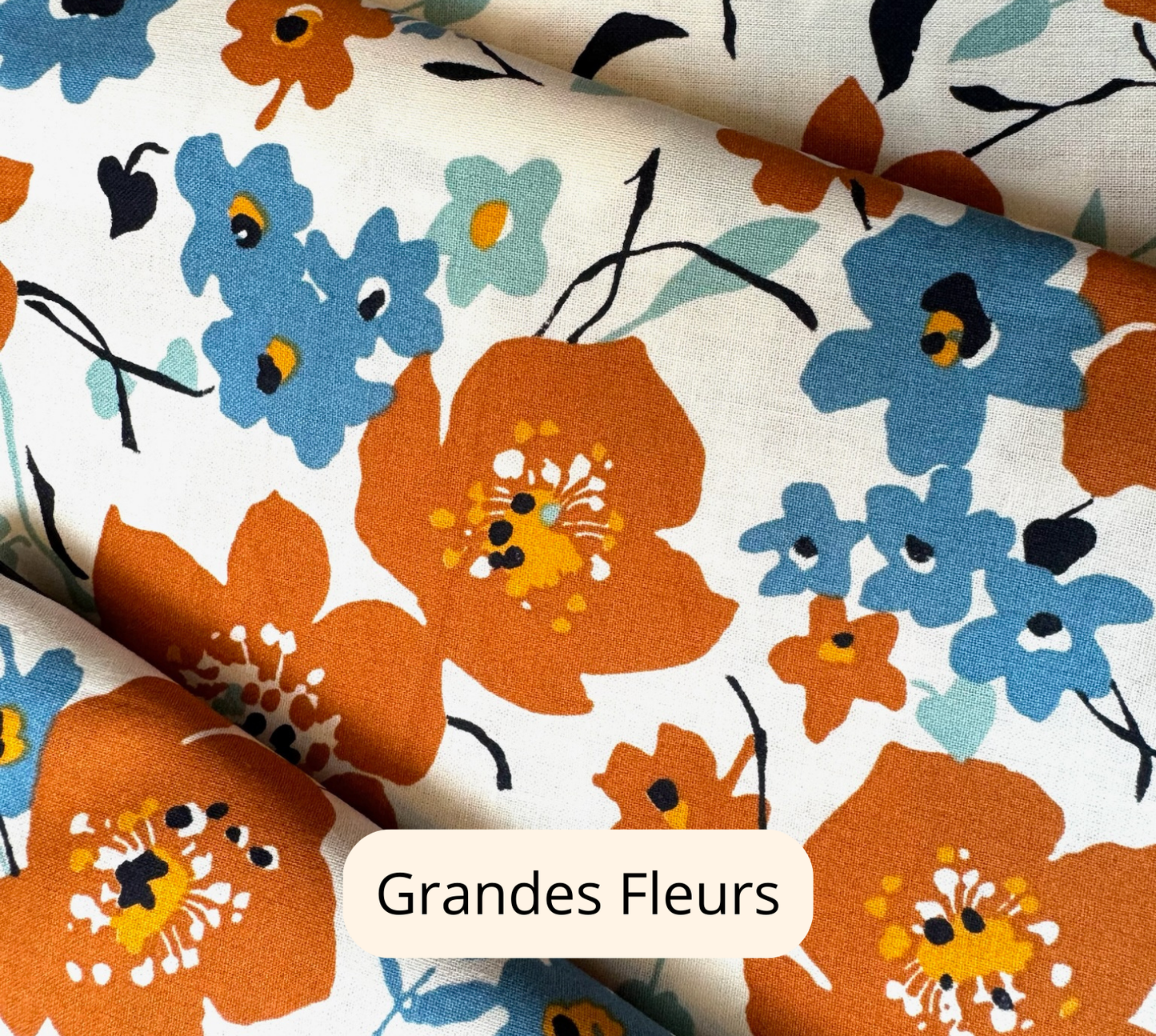 LES MOTIFS